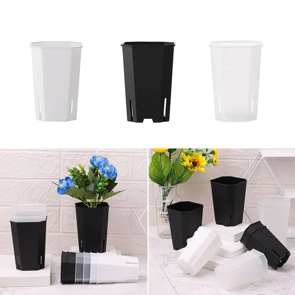 Side-Opening Octagonal Succulent Pot | Modern Planter Succulent Planter Pot Richie's