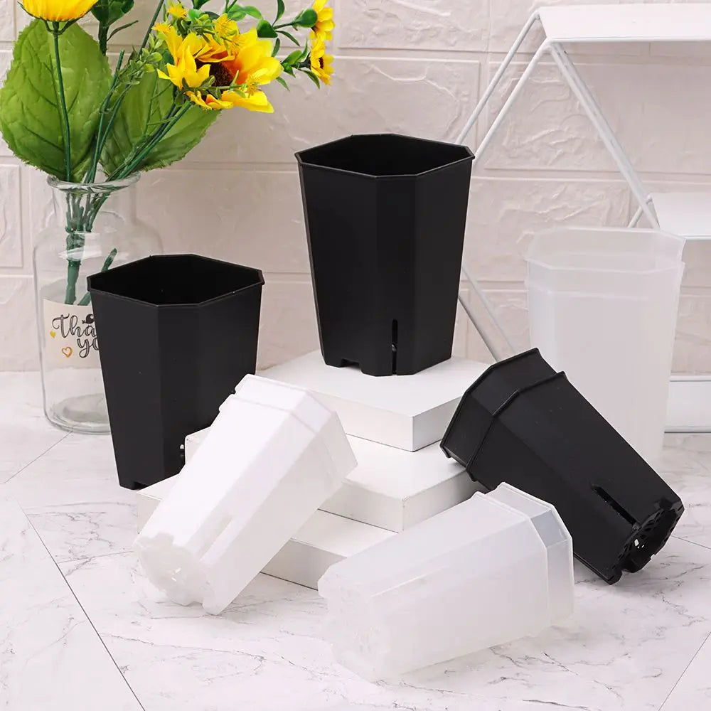 Octagonal Side-Opening Succulent Planter Pot | Desktop Flower Pot Succulent Planter Pot Richie's