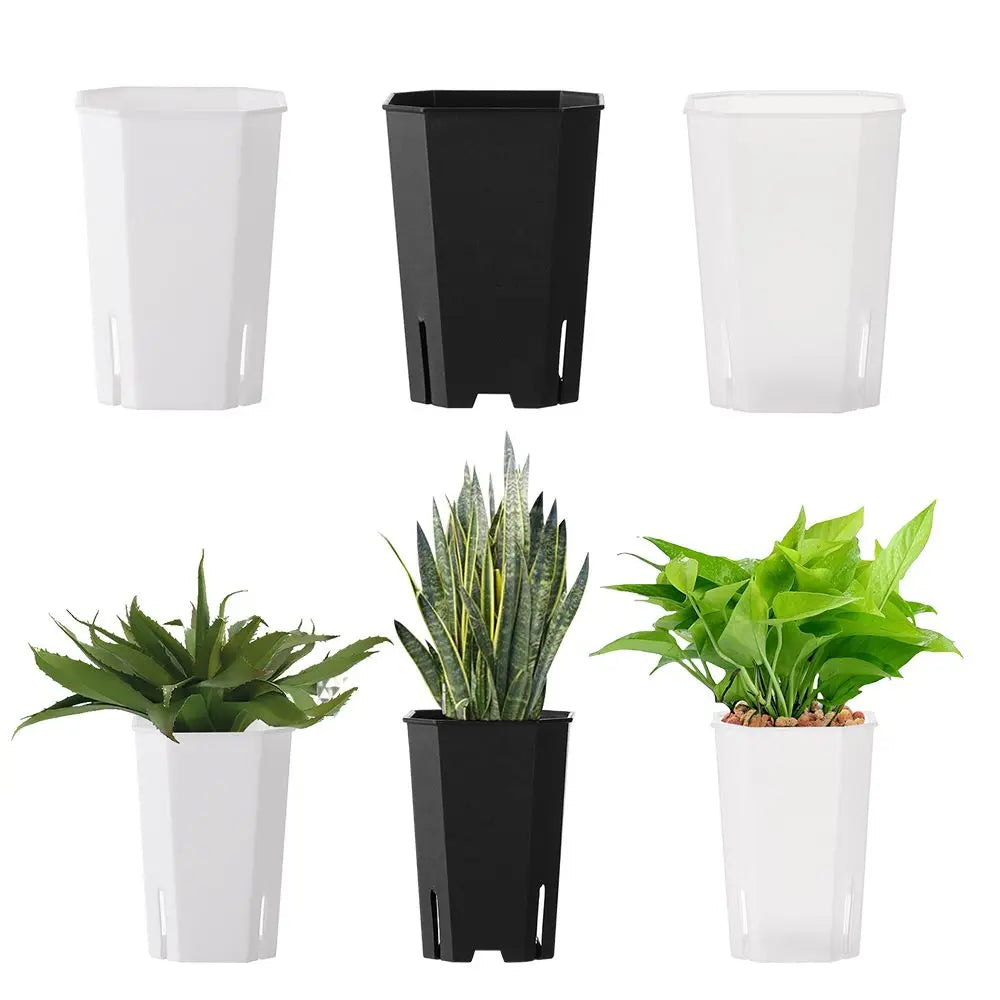 Side-Opening Octagonal Succulent Pot | Modern Planter Succulent Planter Pot Richie's