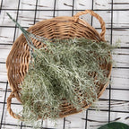 Realistic Artificial Rosemary Branch | Farmhouse Fake Plant Artificial Plant Decor Richie's