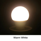 E27 LED Bulb 5W–24W | 6000K Cool White & 3000K Warm White LED Light Bulb Richie's 3000K E27 24W