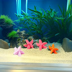 10pcs Resin Starfish Ornaments | Beach & Aquarium Décor Decorative Ornaments Richie's