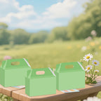 20 Pcs Light Green Kraft Paper Party Favor Boxes | Gift Packaging Party Favor Boxes Richie's