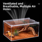 Transparent Acrylic Reptile Terrarium – Ventilated Lizard Habitat Reptile Terrarium Richie's