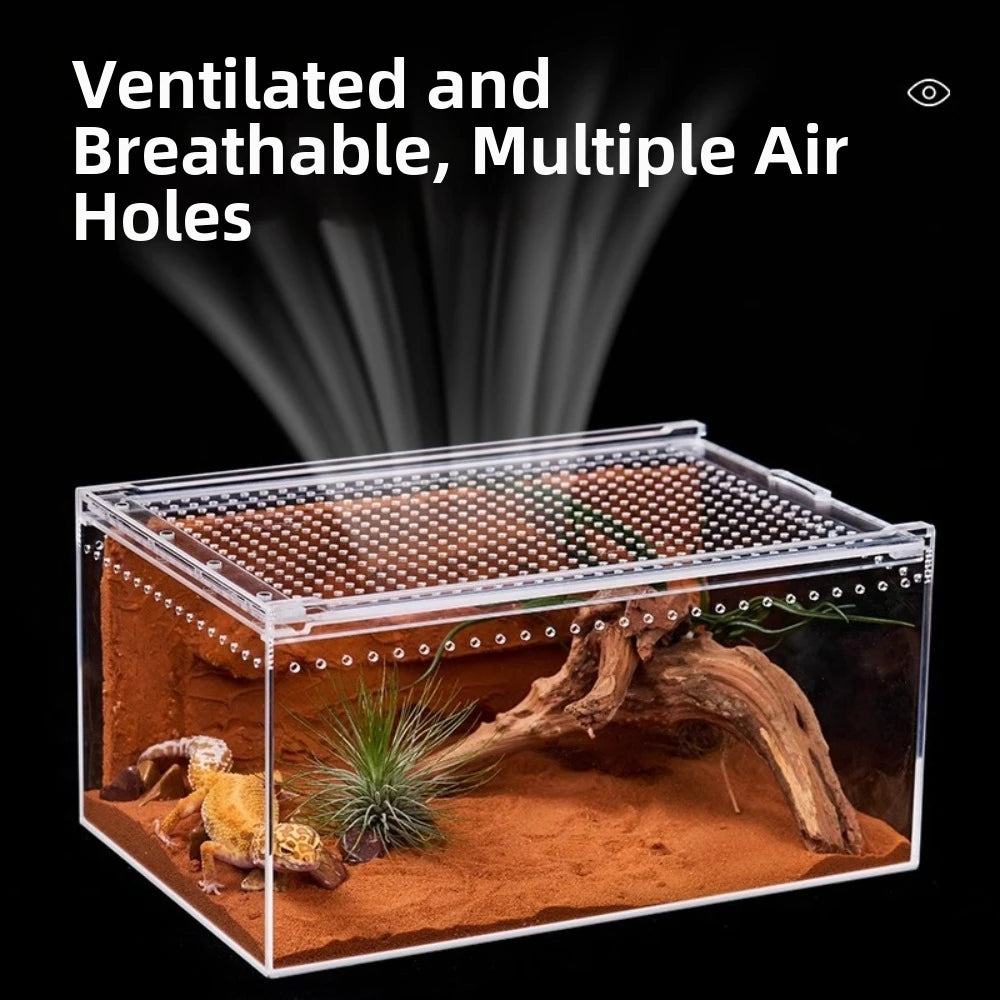 Transparent Acrylic Reptile Terrarium – Ventilated Lizard Habitat Reptile Terrarium Richie's