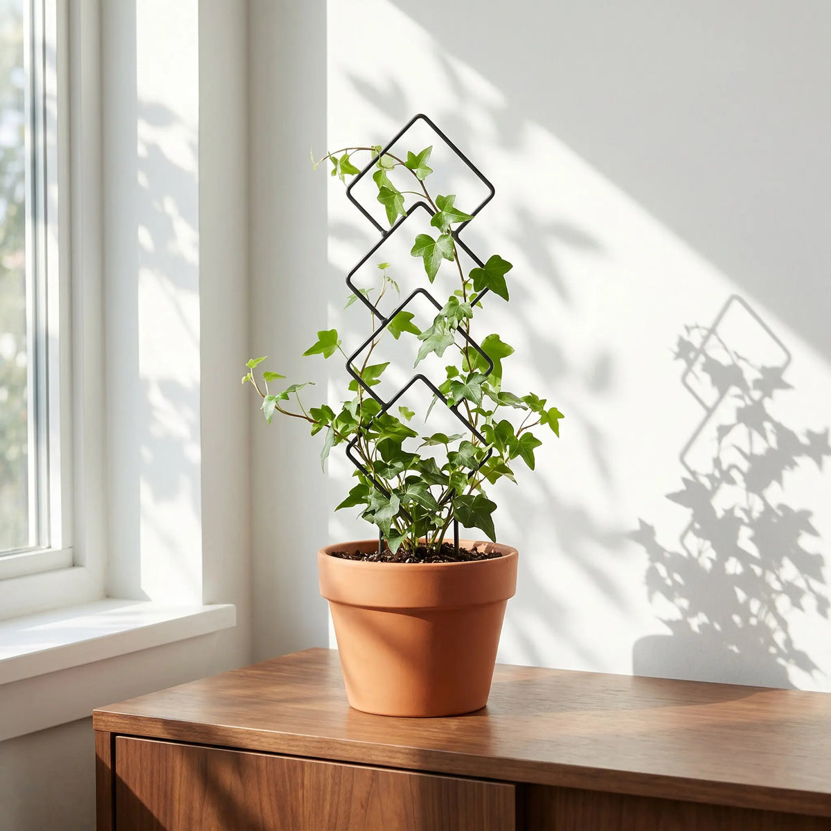 2Pcs Indoor Metal Plant Trellis Climbing Support Stem Holder Plant Trellis Support Richie's Default Title