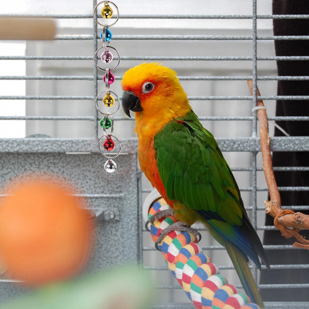 Colorful Parrot Swing with Bell & Anti-Skid Metal Ring Bird Swing Toy Richie's