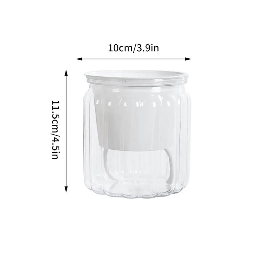 Self-Watering Hydroponic Planter – Mini Succulent Pot Vase Hydroponic Planter Pot Richie's Transparent