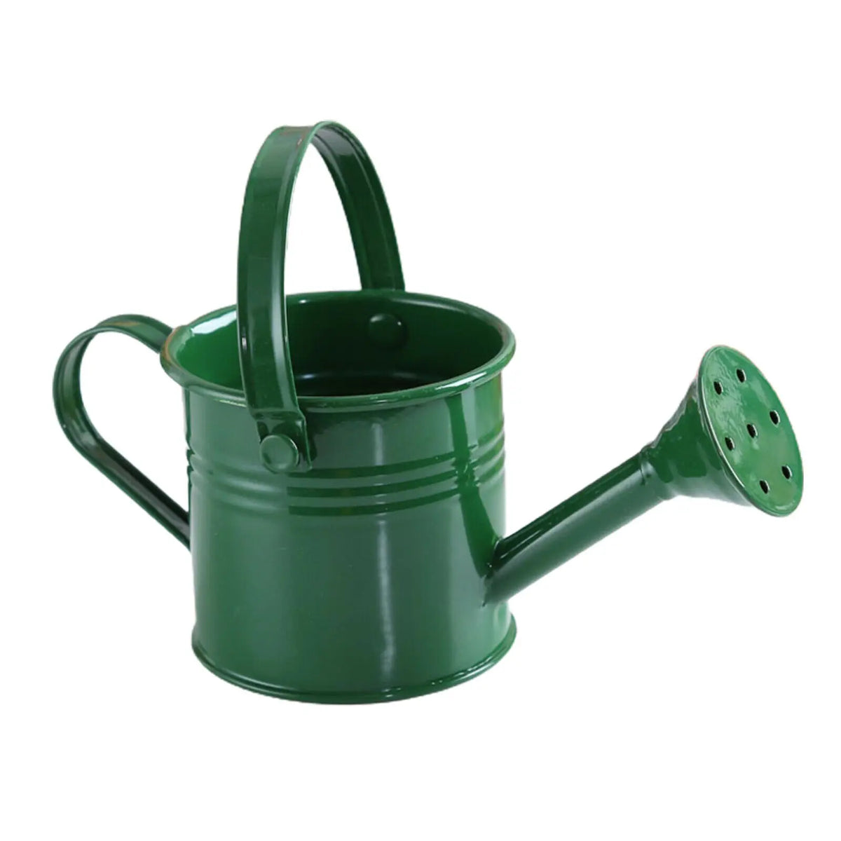 Kawaii Vintage Metal Watering Can – Flower Kettle Pot Metal Watering Can Richie's green
