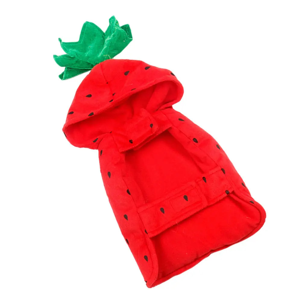 Strawberry Pet Costume – Small Dog & Cat Holiday Outfit Pet Costume Richie's