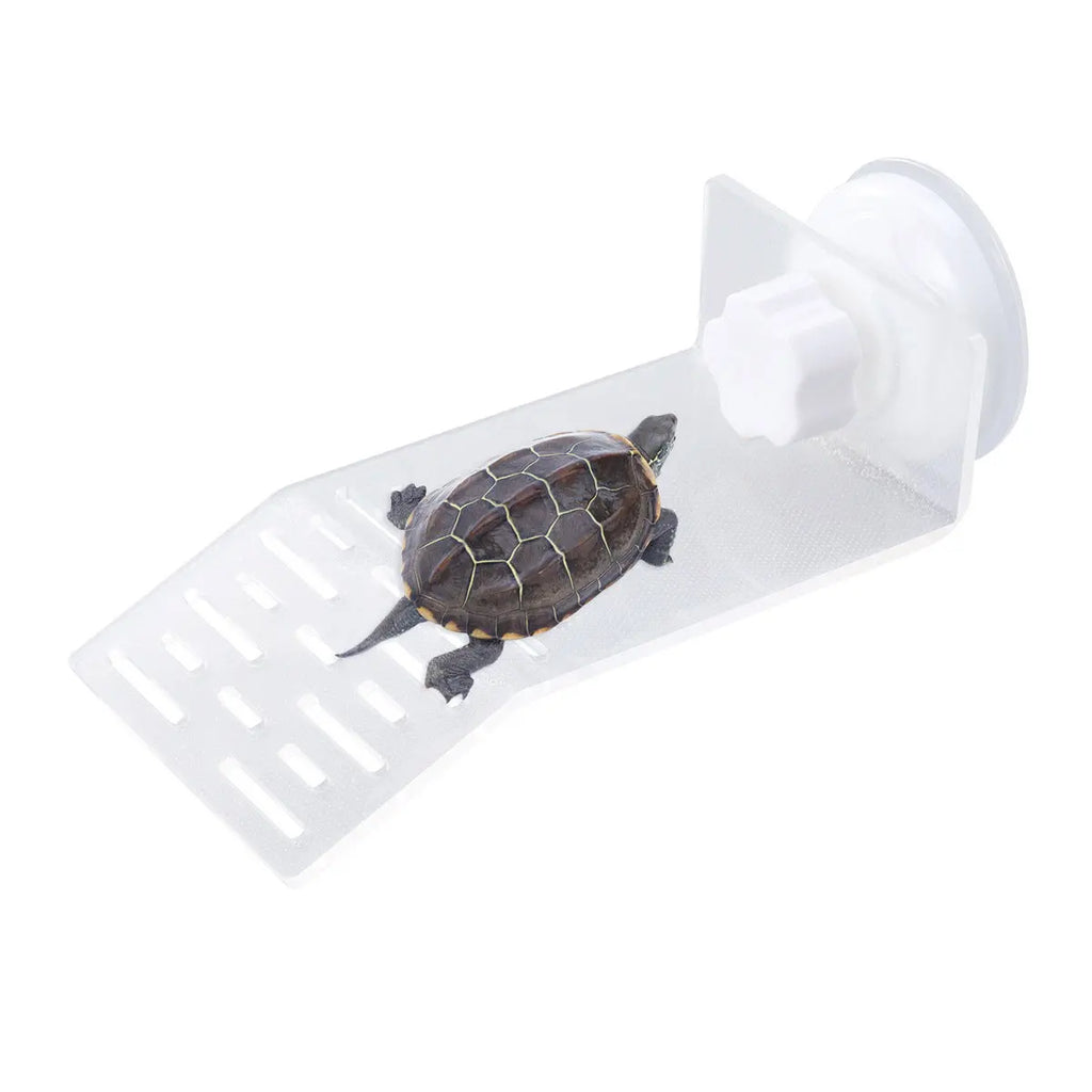 Acrylic Floating Turtle Basking Platform Dock with Suction Cups S Reptile Basking Dock Richie's