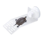 Acrylic Floating Turtle Basking Platform Dock with Suction Cups S Reptile Basking Dock Richie's