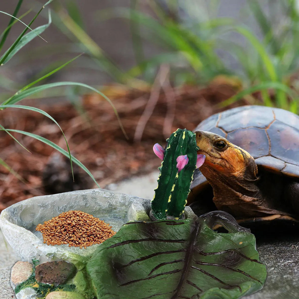 Reptile Cactus Food & Water Bowl – Easy Clean, Odor Resistant Reptile Feeding Bowl Richie's