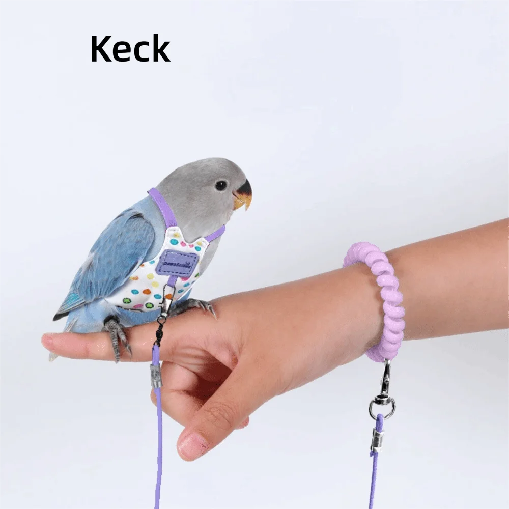 Adjustable Breathable Parrot Flight Harness & Walking Leash Bird Flight Harness Richie's Purple-Style6