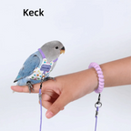 Adjustable Breathable Parrot Flight Harness & Walking Leash Bird Flight Harness Richie's Purple-Style6