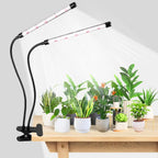 KEBINCPLED USB Clip Plant Grow Light – Dimmable LED 2/3 Head LED Plant Grow Light Richie's Black 2Heads USB No plug