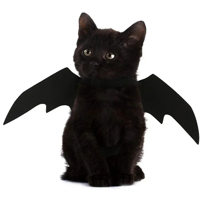 Halloween Bat Wings Harness Costume for Cats & Dogs Pet Costume Richie's