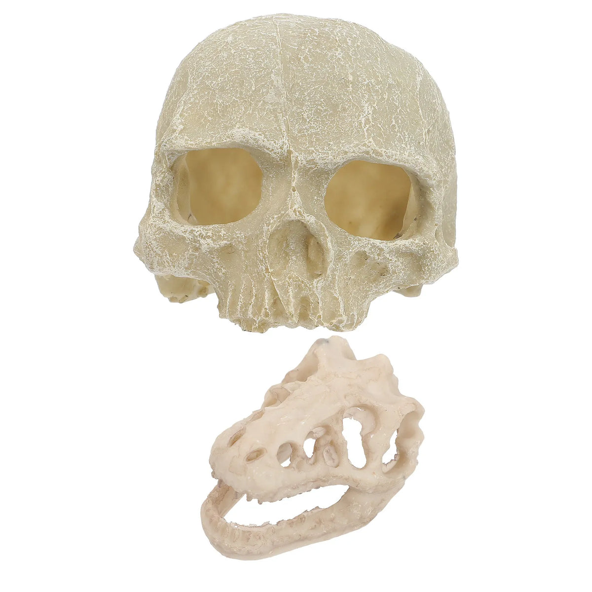 2-Pack Skull Resin Aquarium Ornaments | Fish Tank Decor Aquarium Ornament Richie's