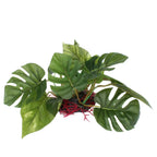 Artificial Aquarium Plant – Realistic Plastic Fish Tank Decor Aquarium Decor Plant Richie's