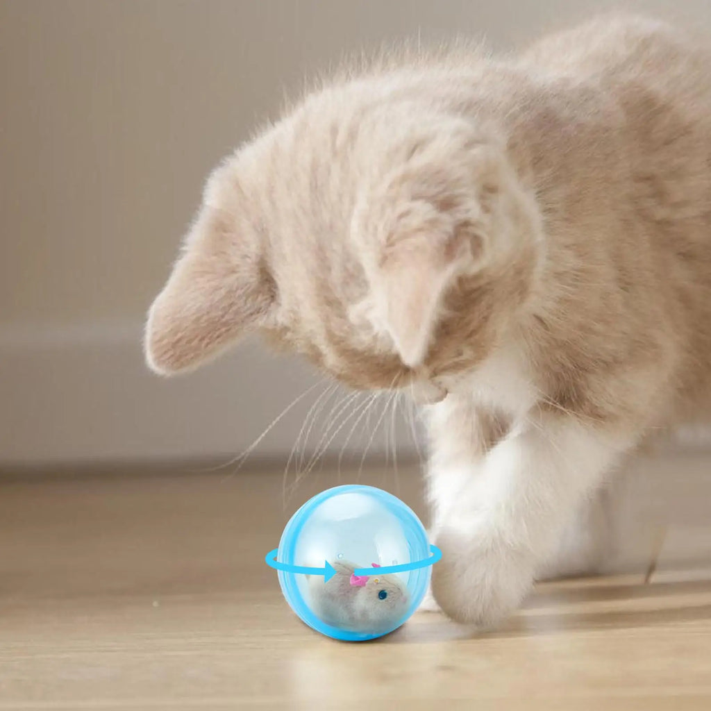 Electric Rolling Ball Interactive Toy for Cats & Dogs Interactive Pet Toy Richie's
