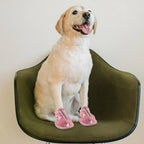 4Pcs Breathable Mesh Dog Sandals – Anti-Slip Summer Paw Shoes Dog Sandals Richie's