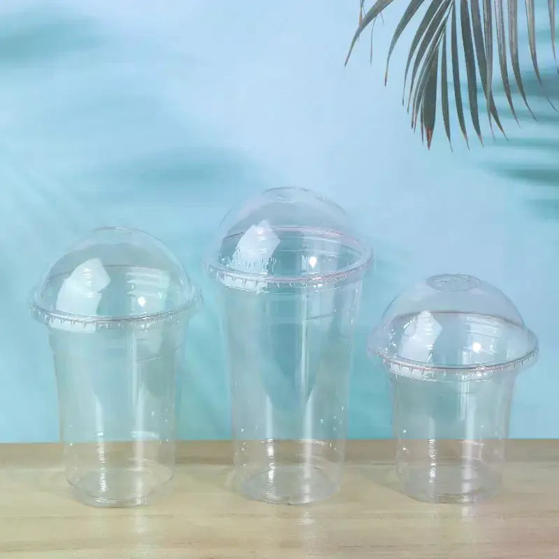 Clear Disposable PET Cups with Lids & Straws – 10 Pack Set Disposable Drinkware Set Richie's