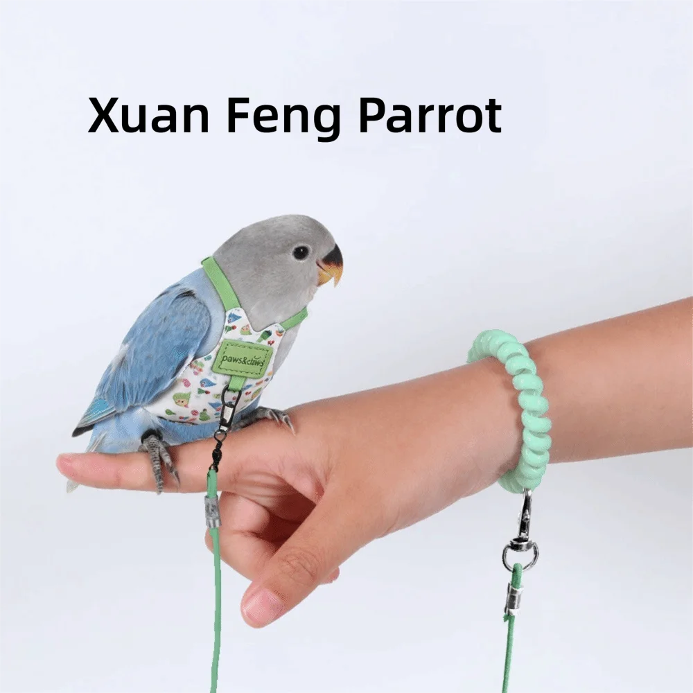 Adjustable Breathable Parrot Flight Harness & Walking Leash Bird Flight Harness Richie's Green-Style4