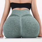 Women's Seamless Gym Shorts – Yoga, Cycling & Fitness Legging Women's Gym Shorts Richie's