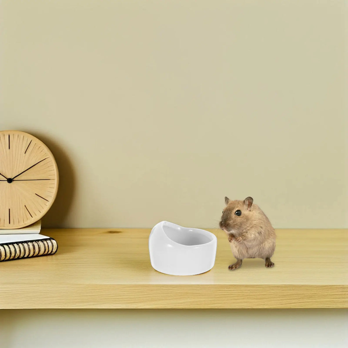White Ceramic Hamster Bowl – Anti-Tilt Chew-Resistant Dish Small Pet Feeding Bowl Richie's