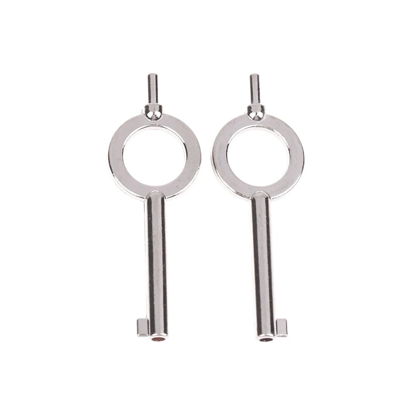 Zinc Alloy Handcuff Keys 2pcs – Universal Flat Key Blank Handcuff Keys Richie's Sliver