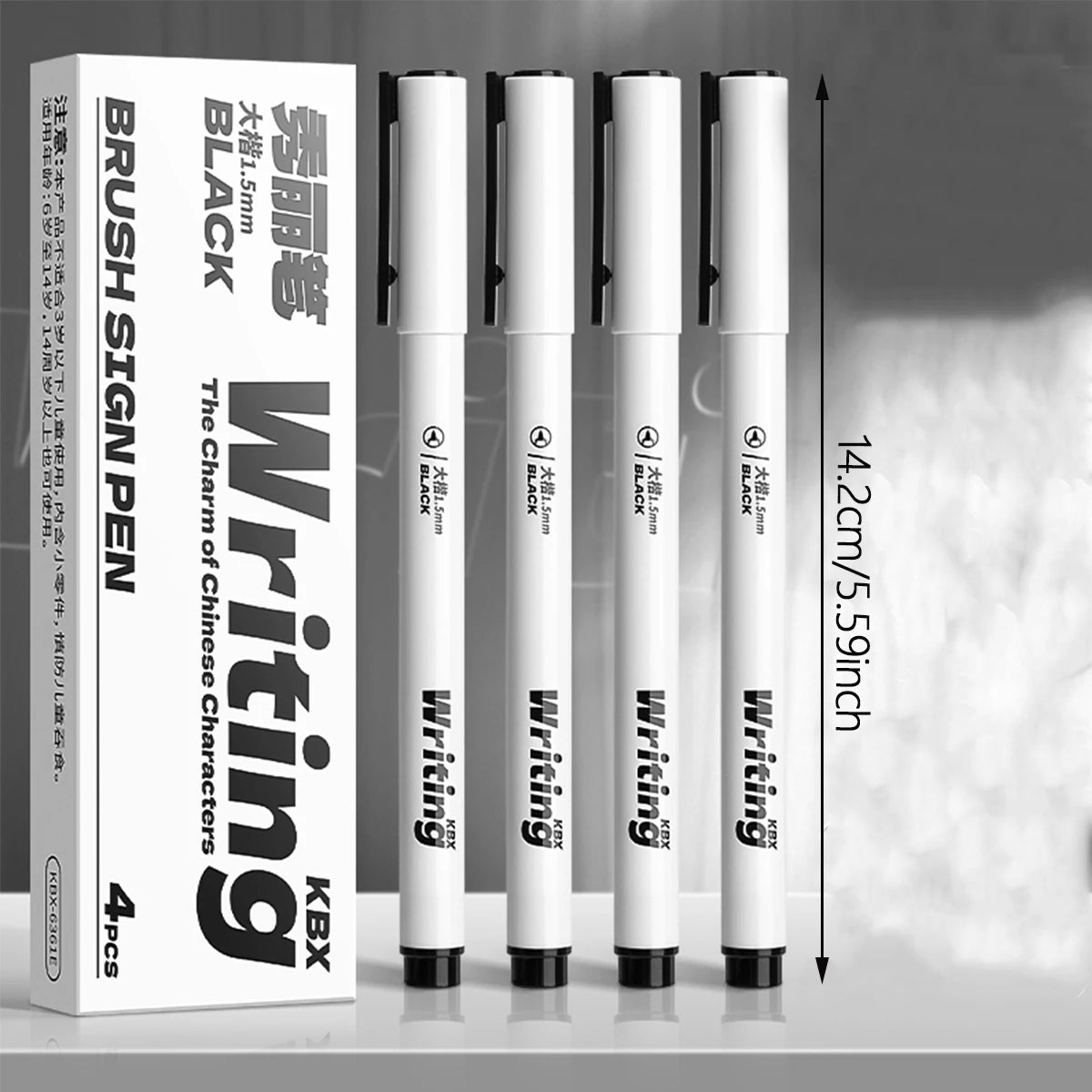 4-Piece Black Brush Pen Set – Multi-Tip Calligraphy Pens Calligraphy Pen Set Richie's