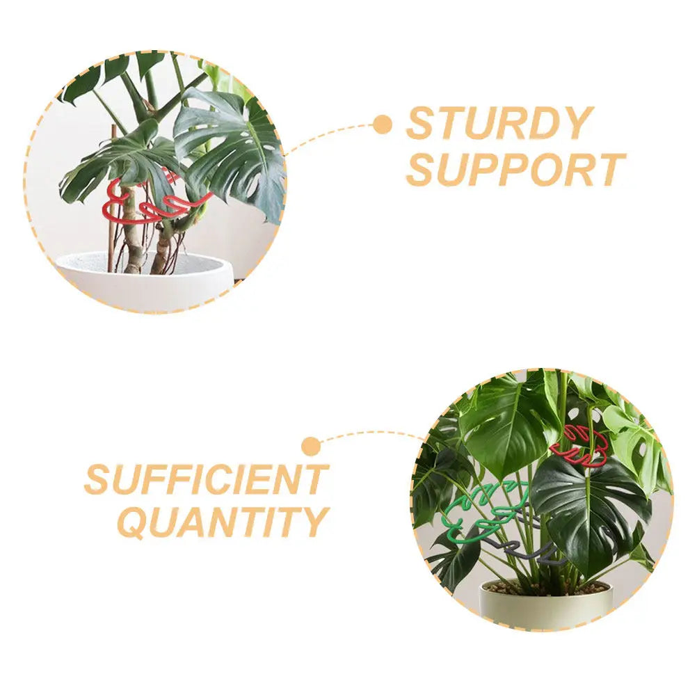 Monstera Plant Cage Trellis – Vertical Growth Support Frame Plant Support Trellis Richie's