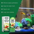 Aquarium Water Purification Tablets – Algae Remover & Clarifier Aquarium Water Tablets Richie's