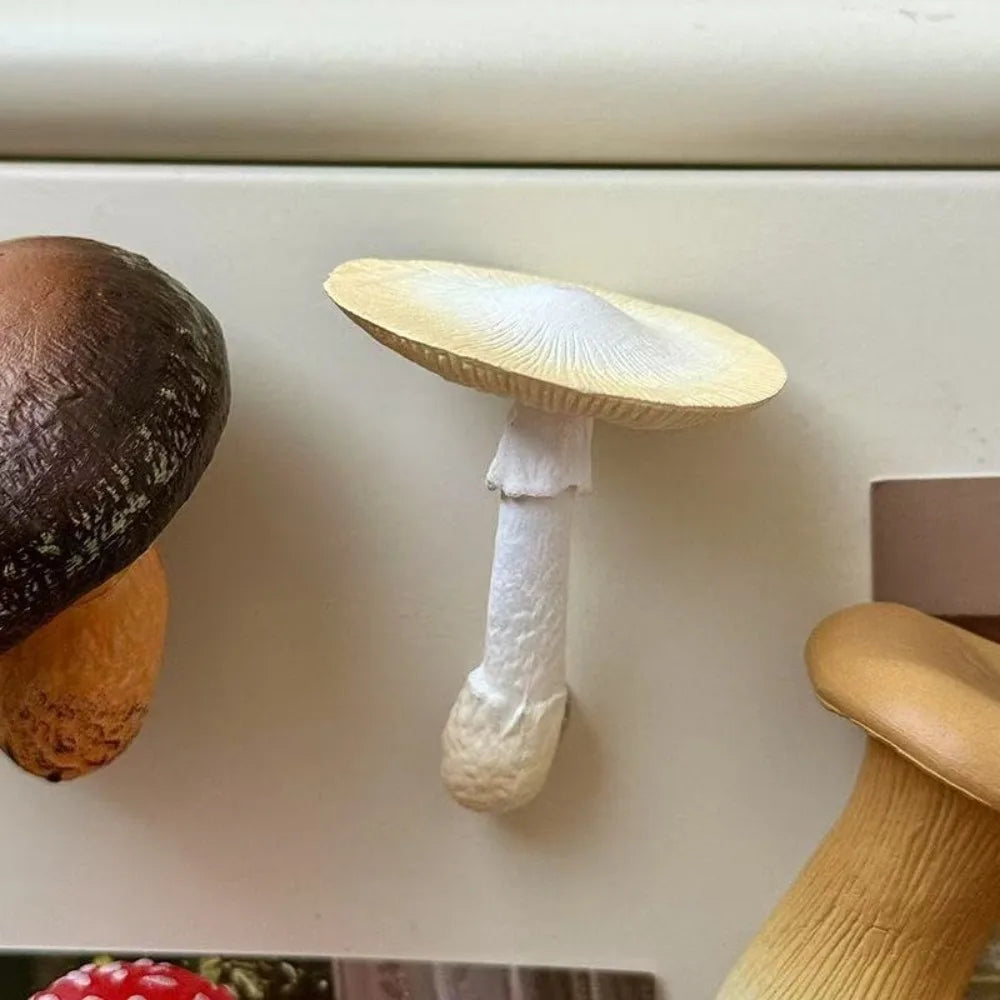 3D Mushroom Fridge Magnets – Cute Resin Cartoon Home Decor Decorative Fridge Magnets Richie's F