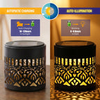 Solar Hollow Floral Garden Lanterns – Dusk to Dawn, 2 Pack Solar Garden Lantern Richie's