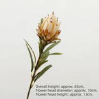 Flocked Artificial Emperor Protea Flower Large Silk Bloom 65cm Artificial Flower Richie's