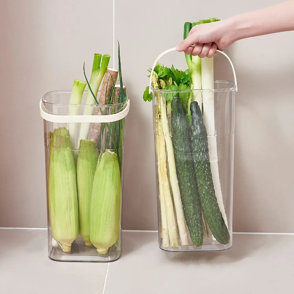 Transparent Vegetable Storage Bucket – Green Onion Organizer Vegetable Storage Bucket Richie's