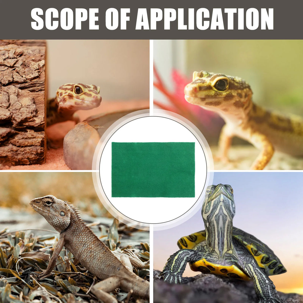 Waterproof Reptile Warm Mat 60x40cm – Tortoise & Lizard Pad Reptile Habitat Mat Richie's