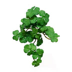 Faux Copper Coin Grass Artificial Plant EVA Bonsai Home Decor Artificial Plant Decor Richie's green-5