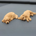 2Pcs Golden Retriever Sleeping Puppy Resin Car Ornaments Resin Dog Figurine Richie's B