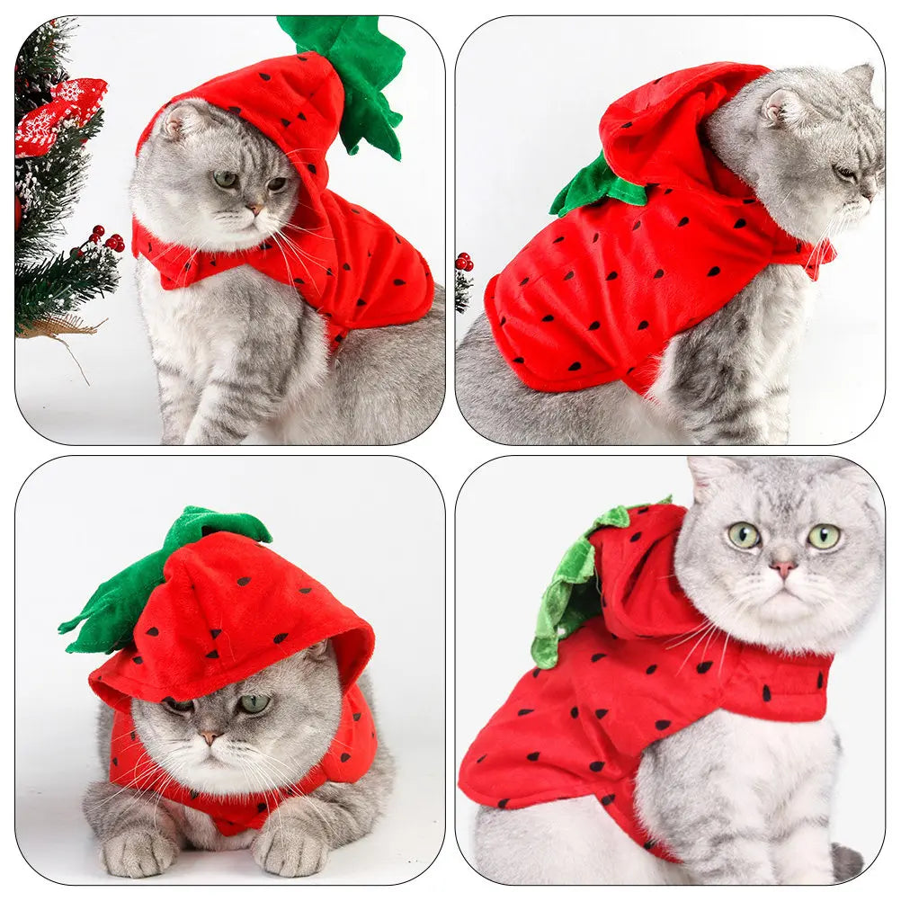 Strawberry Pet Costume for Small Dogs & Cats | Festival Outfit Pet Costume Richie's