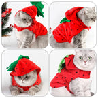 Strawberry Pet Costume for Small Dogs & Cats | Festival Outfit Pet Costume Richie's
