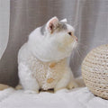 Cozy Fleece Pet Sweatshirt Vest for Cats & Small Dogs Pet Fleece Vest Richie's Beige-2XL