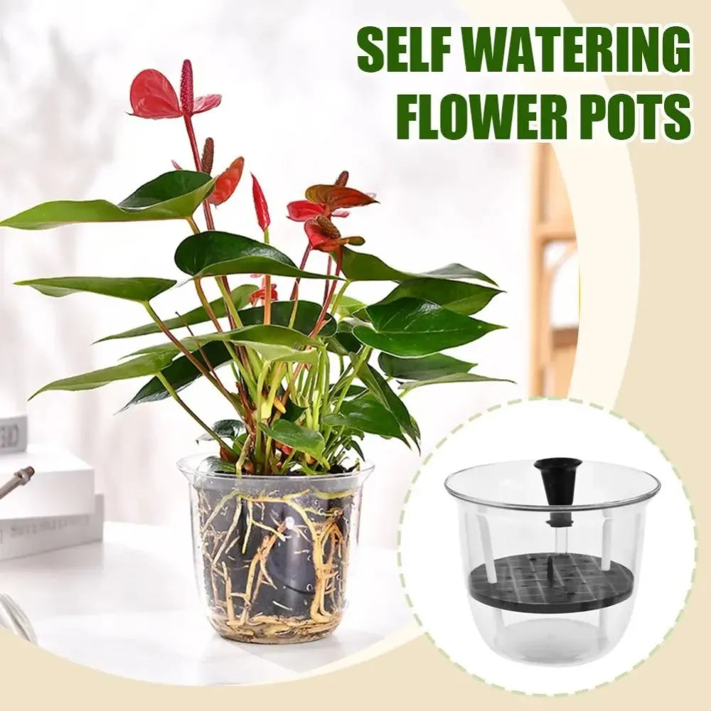 Transparent Self-Watering Plant Pot – Double Layer Planter Self-Watering Planter Richie's