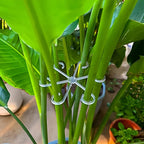Plant Stem Support Clips & Flower Gathering Frame | Garden Plant Support Clips Richie's