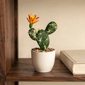 Mini Artificial Cactus Plants in Pots – 7" Faux Succulent Decor Artificial Plant Decor Richie's Default Title