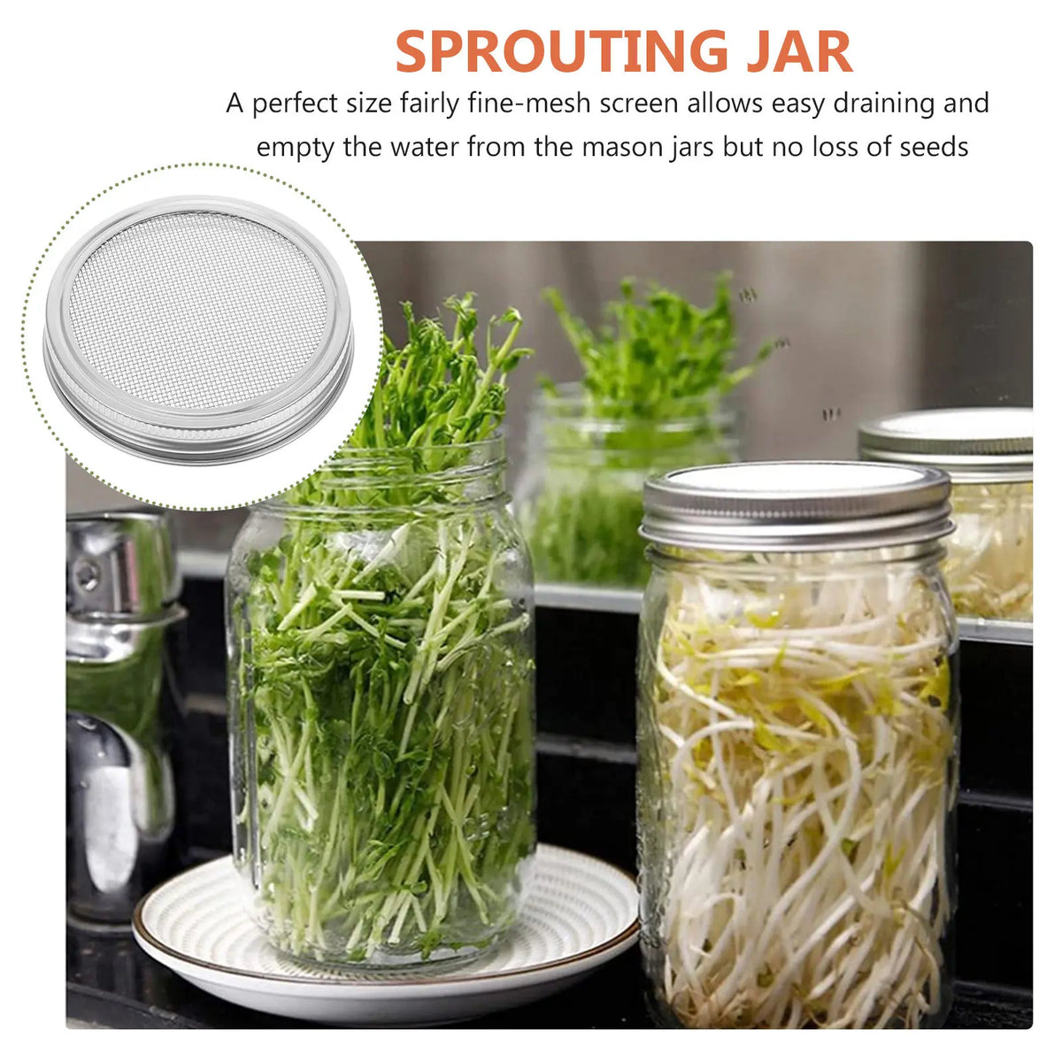 3-Pack Stainless Steel Sprouting Lids for Wide Mouth Mason Jars Mason Jar Sprouting Lids Richie's