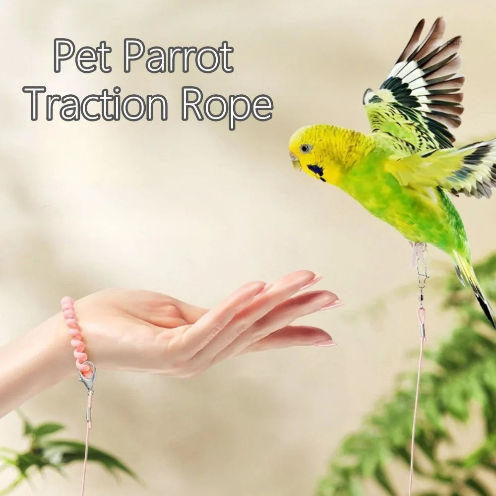 Elastic Parrot Traction Rope with Metal Buckle & Foot Chain Bird Training Leash Richie's