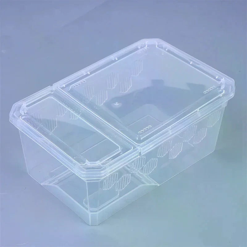 Reptile Breeding Box Transparent Vivarium Tank for Lizards & Spiders Reptile Vivarium Richie's