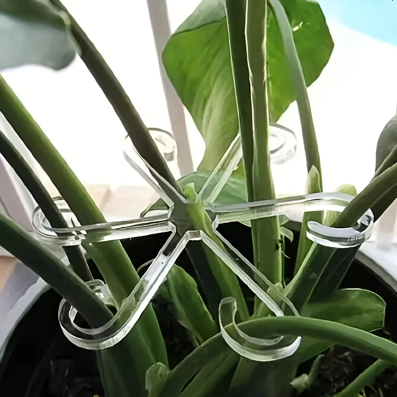 Plant Stem Support Clips & Flower Gathering Frame | Garden Plant Support Clips Richie's